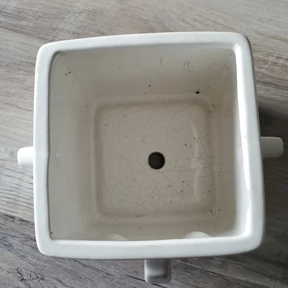 Face Planter - Picture 5 of 7